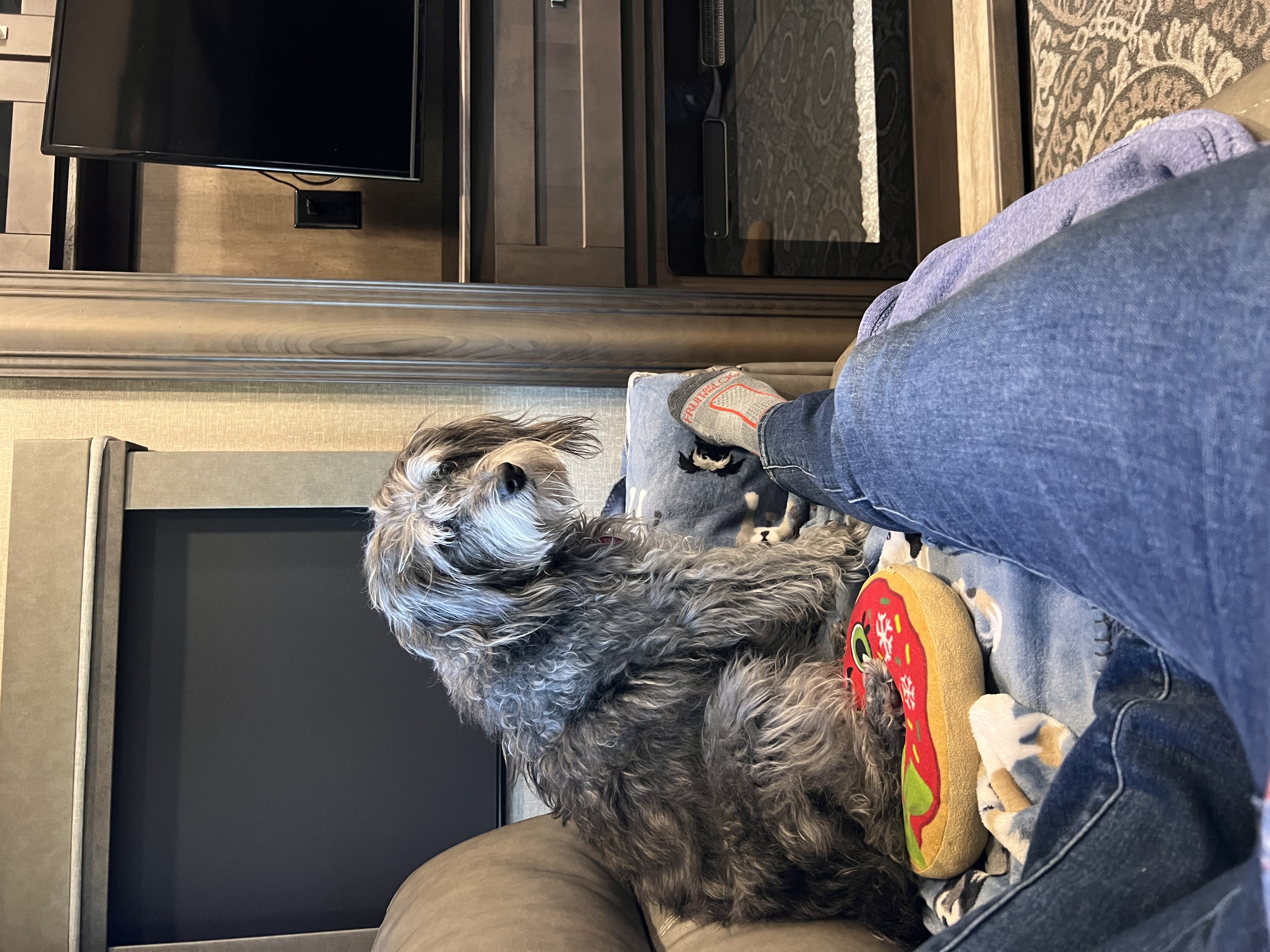 ./2023/01 - New Bern/IMG_6270.JPG